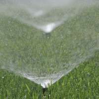 Utah urges residents to adjust watering habits to avoid 'wasteful overwatering'