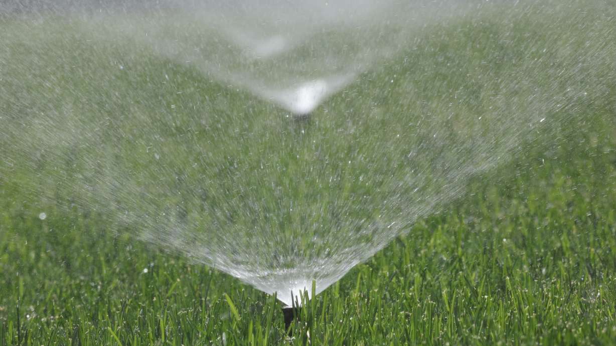 A sprinkler waters grass in Sandy on May 31, 2022. Utah water managers said Thursday that residents should adjust their irrigation routines as the 2026 water year comes to a close.