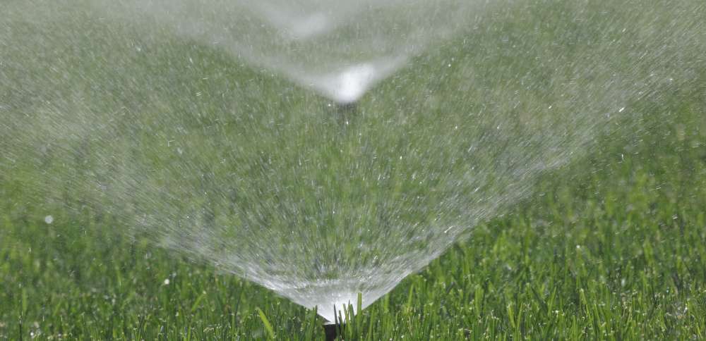 Utah urges residents to adjust watering habits to avoid 'wasteful overwatering'