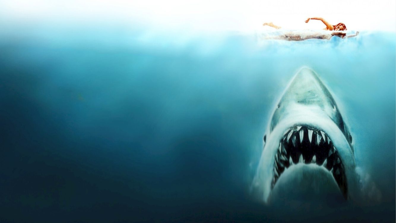 Jaws