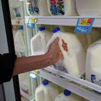 The local scoop: How to find out where your milk really comes from