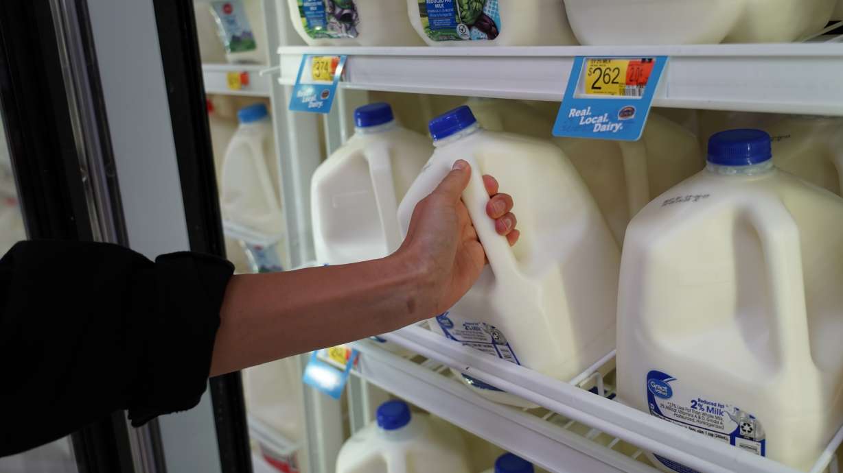 The local scoop: How to find out where your milk really comes from