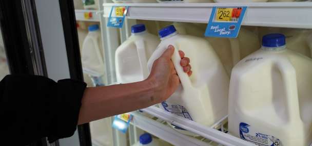 The local scoop: How to find out where your milk really comes from