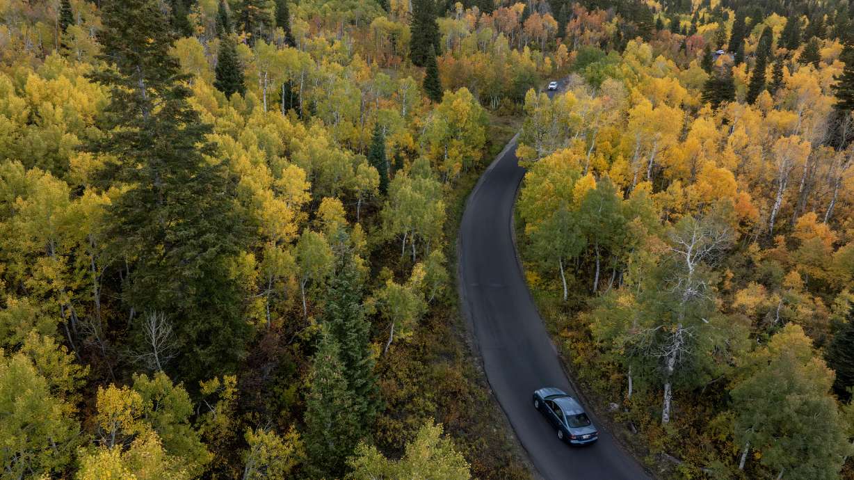 Fall colors in American Fork Canyon on Oct. 1, 2025. Instead of wishing it were still August, it's time to embrace September because it just might be the best month of the year in Utah.