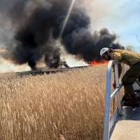 Controlled burn in Farmington Bay hits invasive species, produces large smoke plume