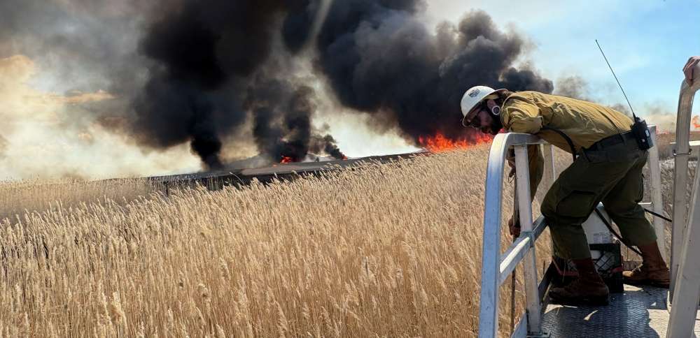Controlled burn in Farmington Bay hits invasive species, produces large smoke plume