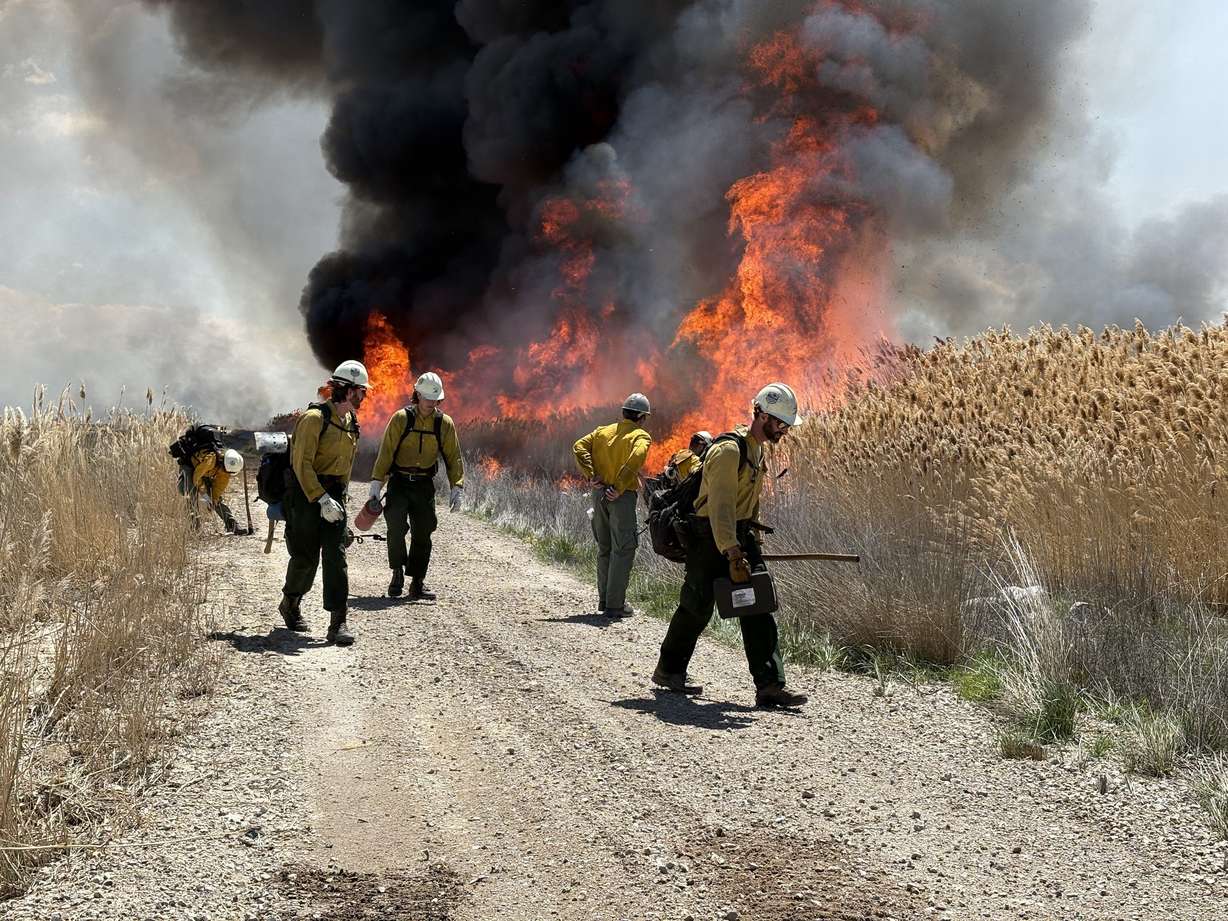 Farmington Bay 1,500 acre controlled burn produces visible smoke over Davis County on Monday.