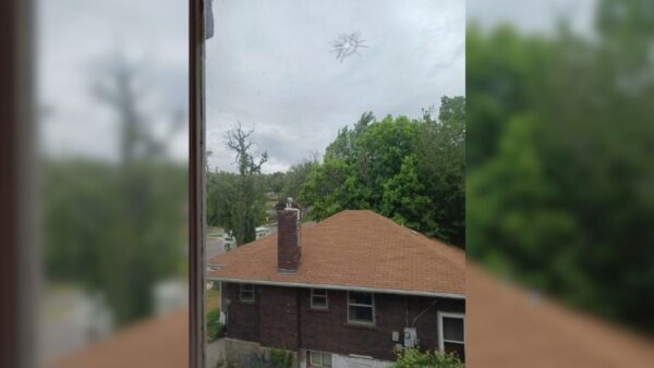 Residents say vandalism, attacks tied to 1 neighbor have left them fearful
