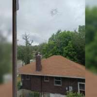 Residents say vandalism, attacks tied to 1 neighbor have left them fearful