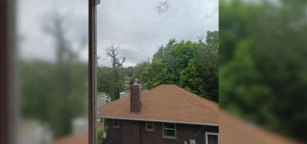 Residents say vandalism, attacks tied to 1 neighbor have left them fearful
