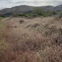Firefighters see concerning 'color' on hillsides in Salt Lake County