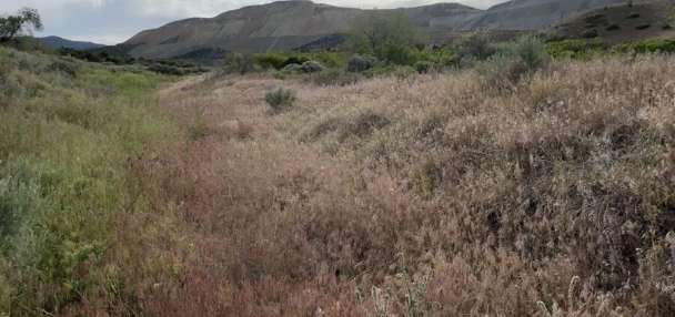 Firefighters see concerning 'color' on hillsides in Salt Lake County