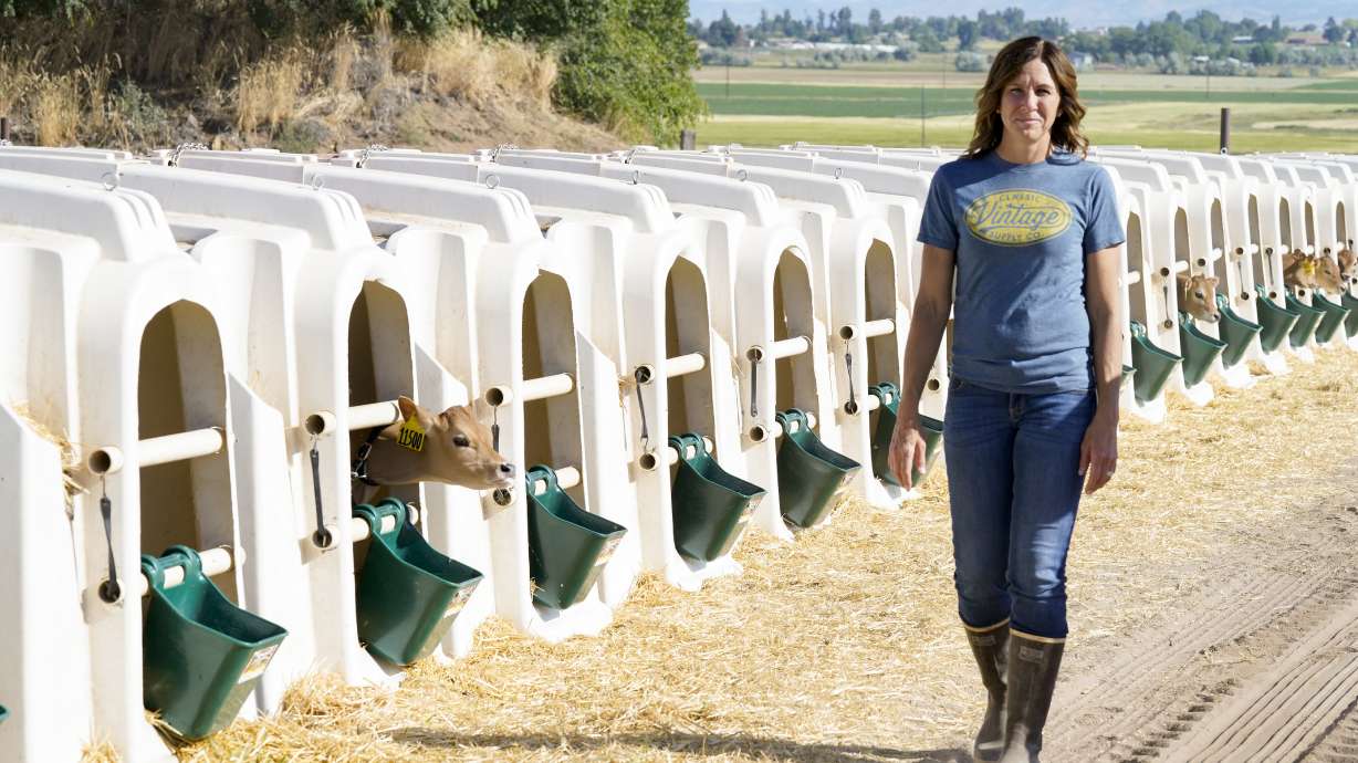 More than milk: Why dairy farmers are worth celebrating