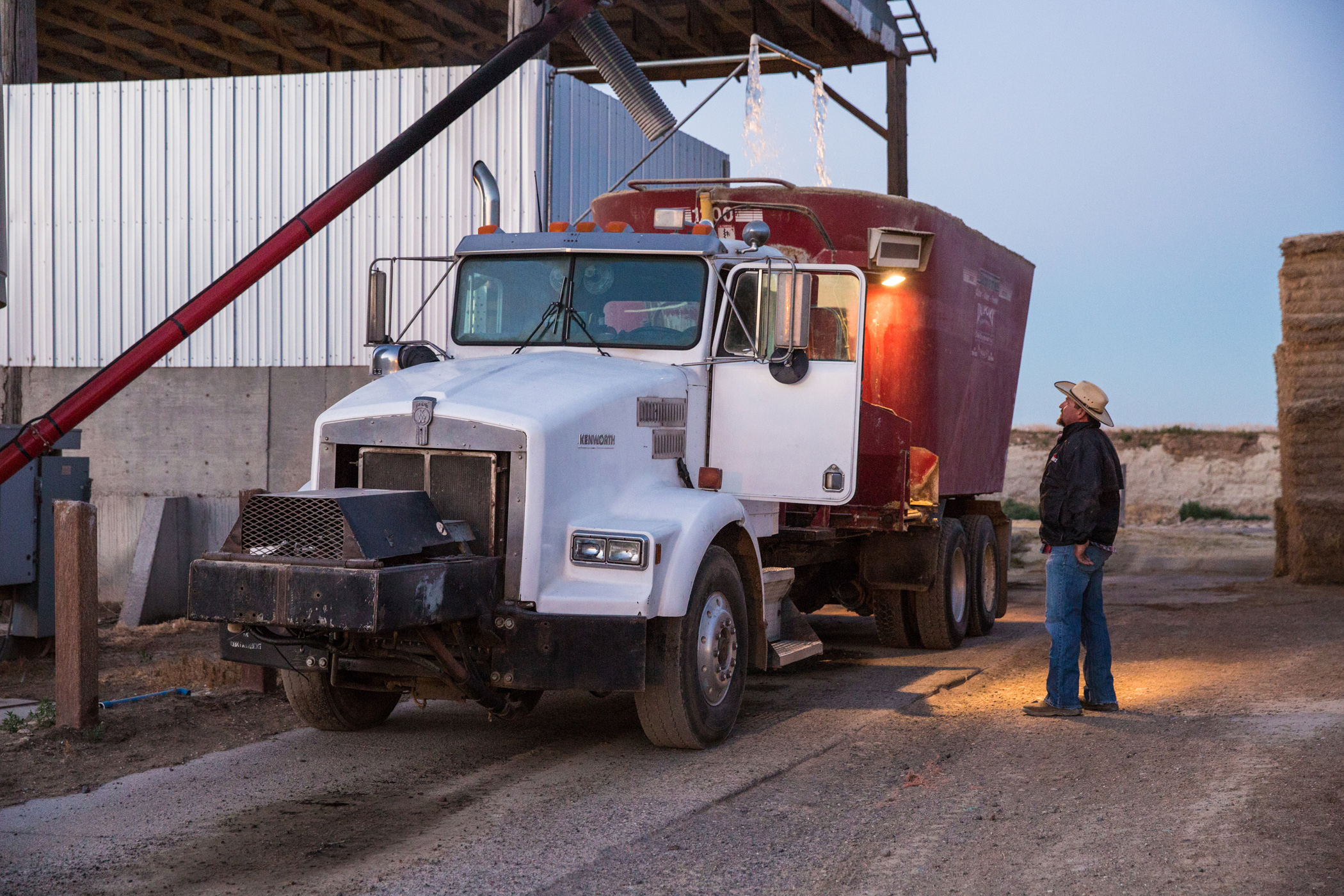 More than milk: Why dairy farmers are worth celebrating