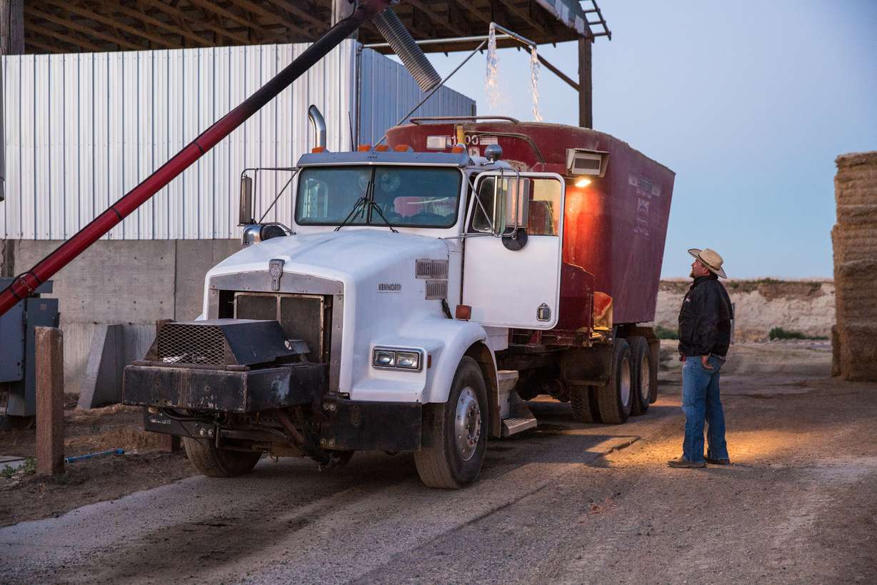 More than milk: Why dairy farmers are worth celebrating