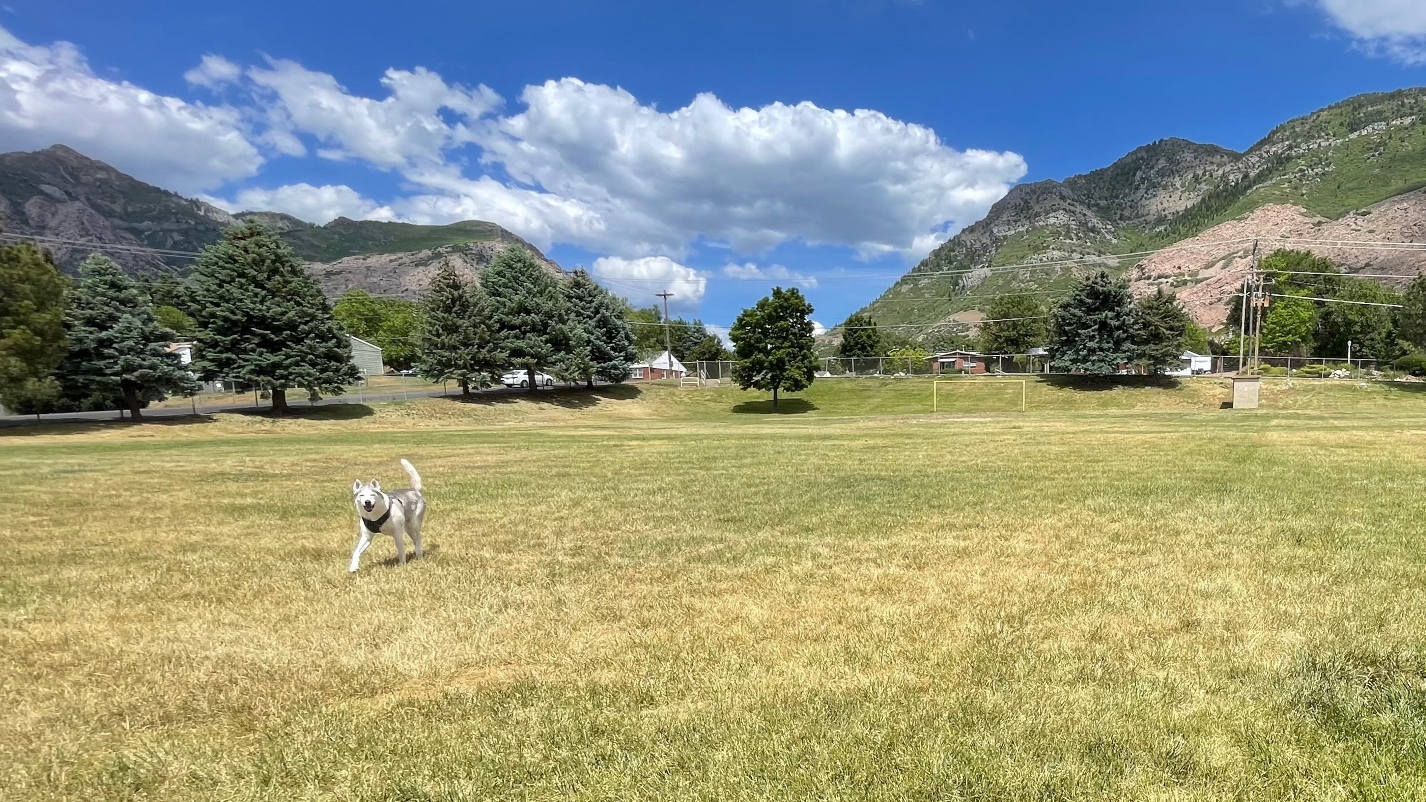 Ogden officials are debating whether the former Taylor Canyon Elementary, sown Wednesday, property should be converted into green space or left to developers for home construction.