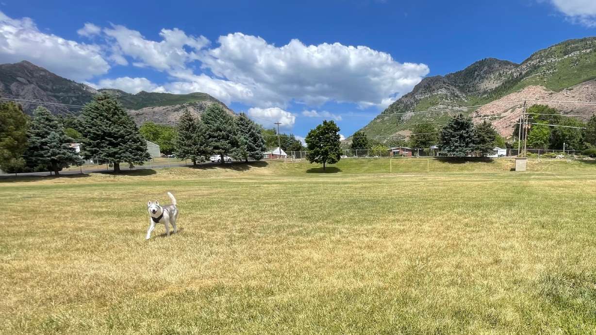 Ogden leaders reached a compromise on the future of a vacant school property. Part will be kept as open space and the rest will be sold for development. The ex-Taylor Canyon Elementary property is pictured on May 27.