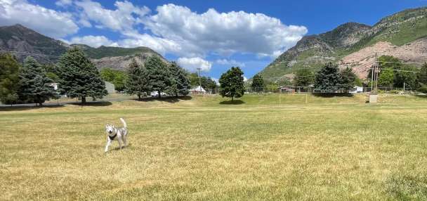 Ogden officials compromise to preserve part of ex-school property as green space