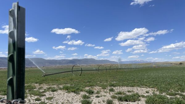 Central Utah farmers report worst conditions they've ever seen after dry winter