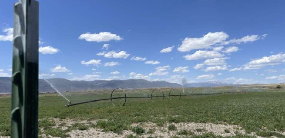 Central Utah farmers report worst conditions they've ever seen after dry winter