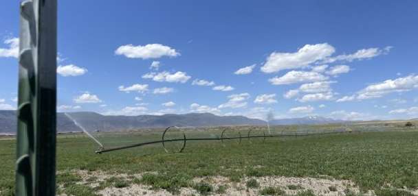 Central Utah farmers report worst conditions they've ever seen after dry winter