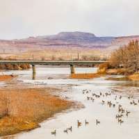 Man drowns in Green River
