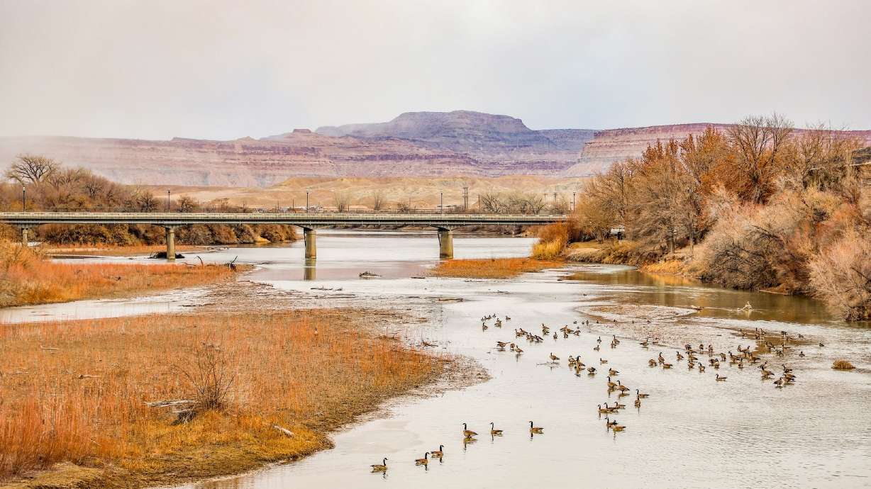 A man from the Salt Lake Valley drowned in the Green River in Daggett County on Tuesday. Witnesses told police the man had rolled near the Red Creek Rapids.