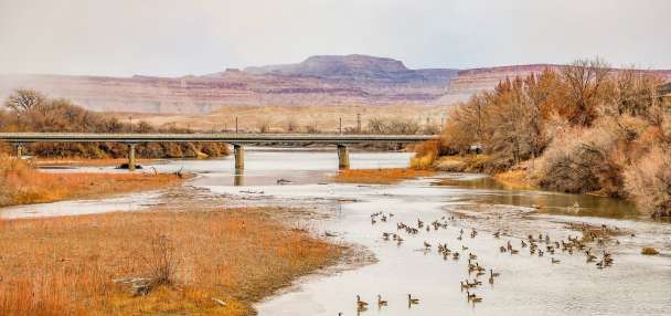 Man drowns in Green River