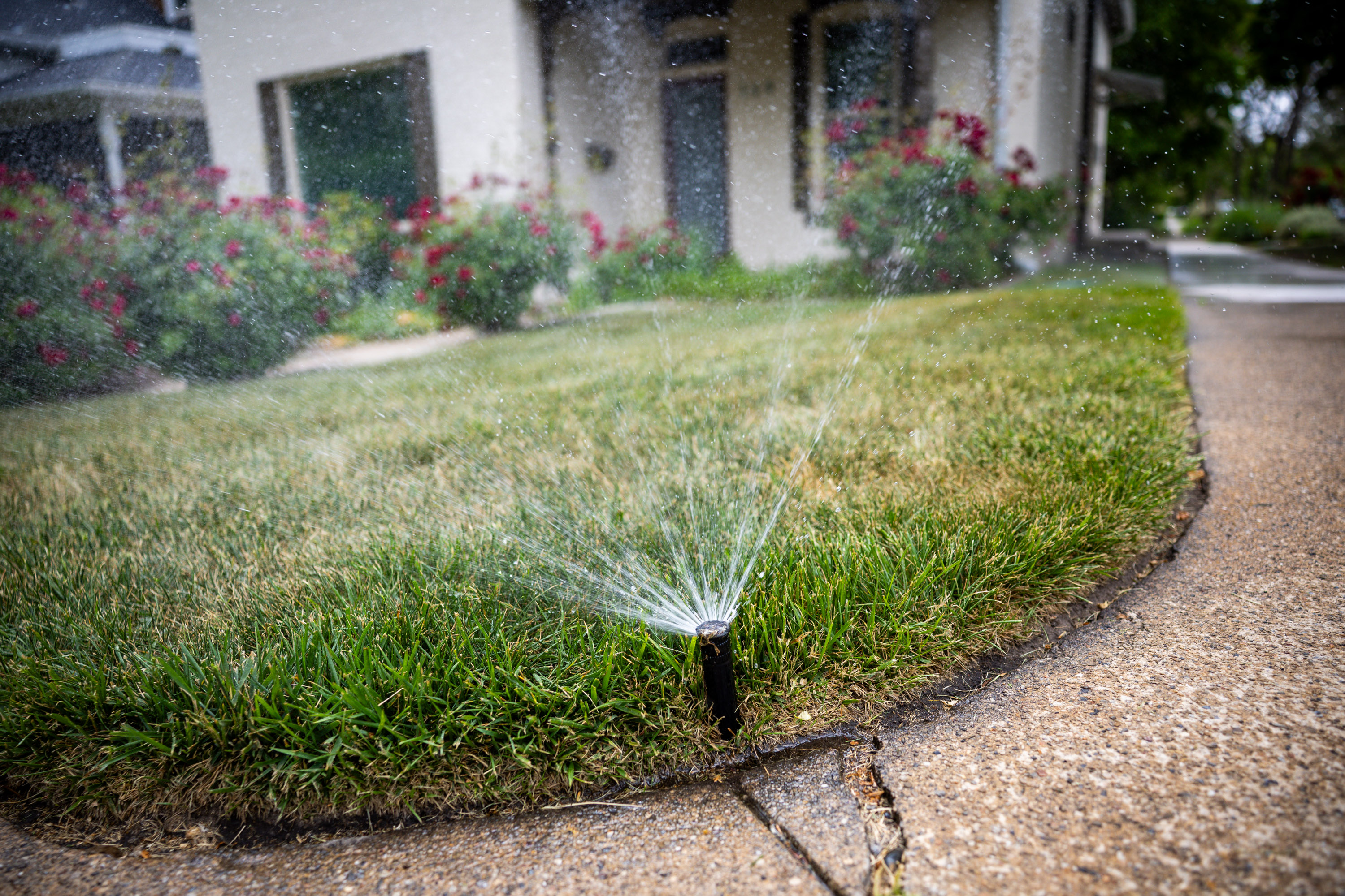 Poll: How far will Utahns go to conserve water?