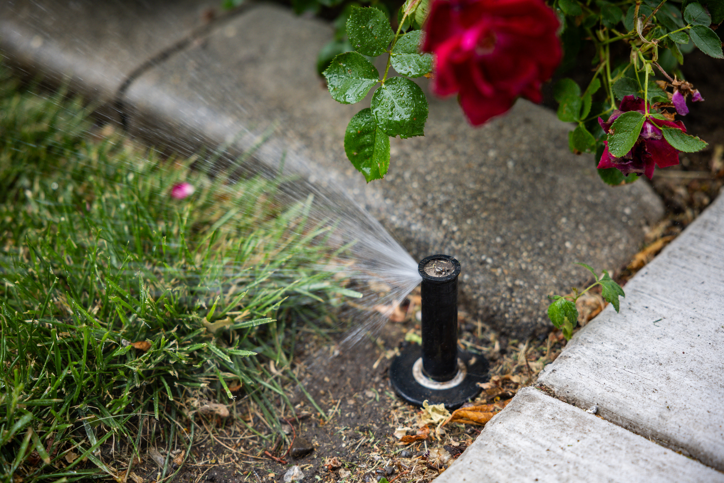 Sprinklers spray water on a lawn in the Avenues in Salt Lake City on Tuesday. About half of respondents to a new Deseret News poll said they've changed their behaviors due to lower water levels.