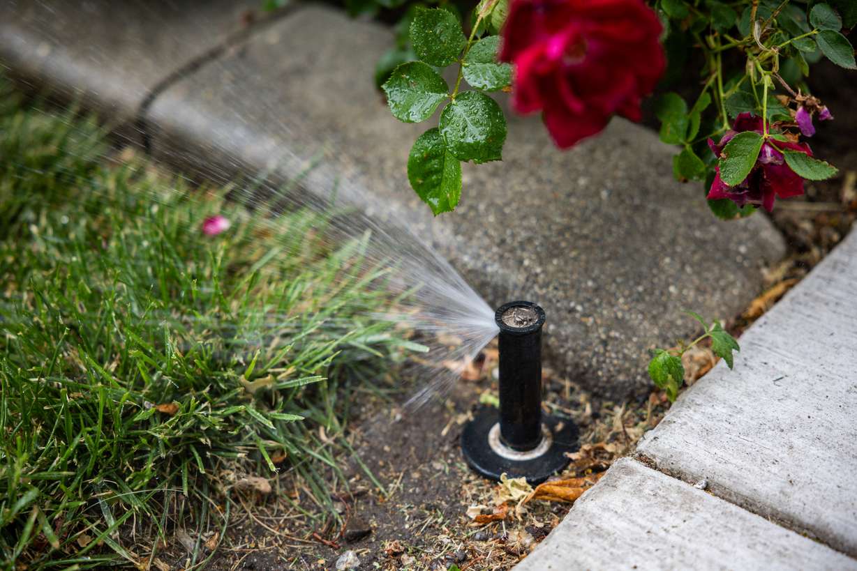 Sprinklers spray water on a lawn in the Avenues in Salt Lake City on Tuesday. About half of respondents to a new Deseret News poll said they've changed their behaviors due to lower water levels.