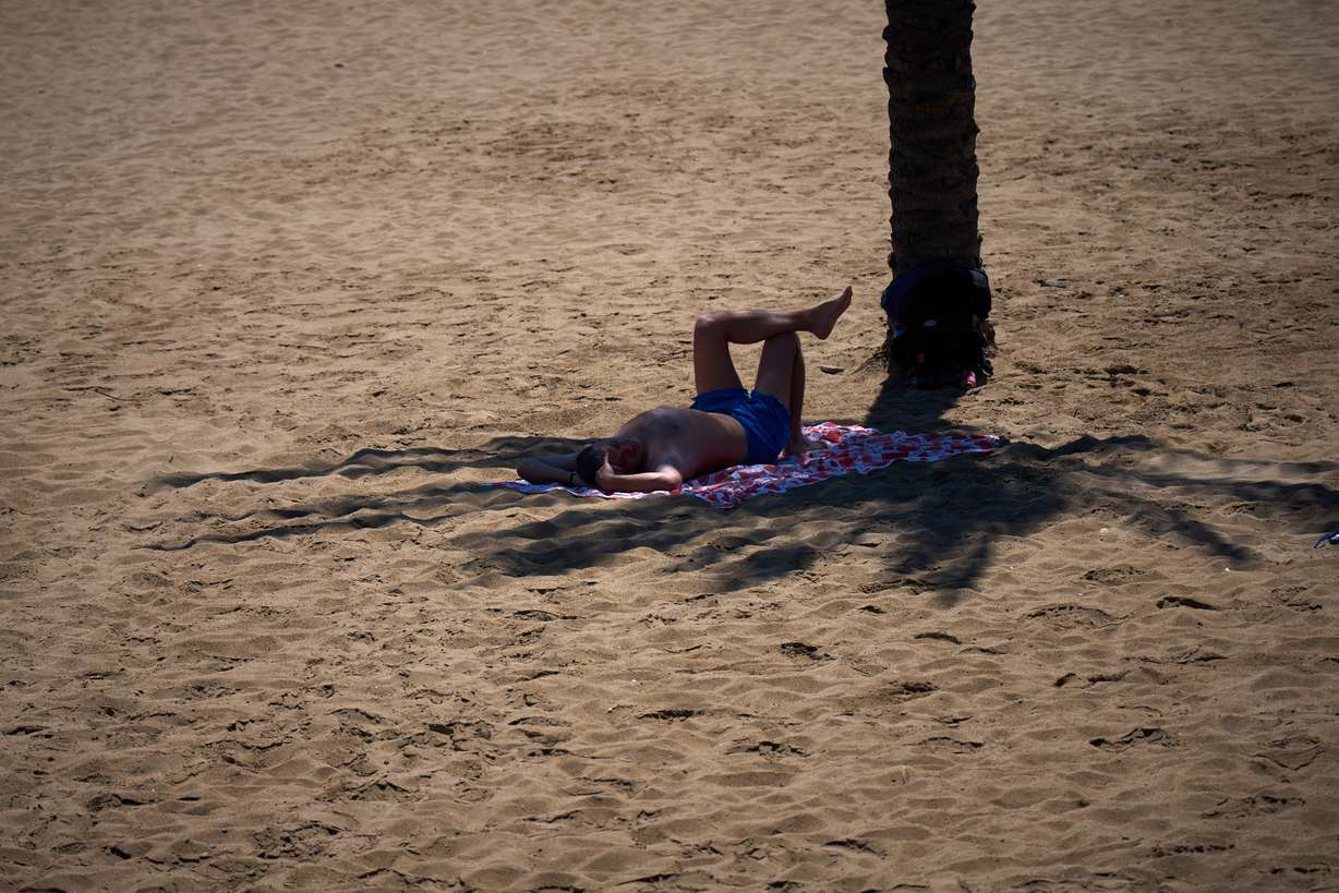 A man takes shelter in the shade of a palm tree to protect himself from the sun in a beach in Barcelona, Spain, Wednesday. A new United Nations climate projection shows heat records could fall year after year for the next five years.