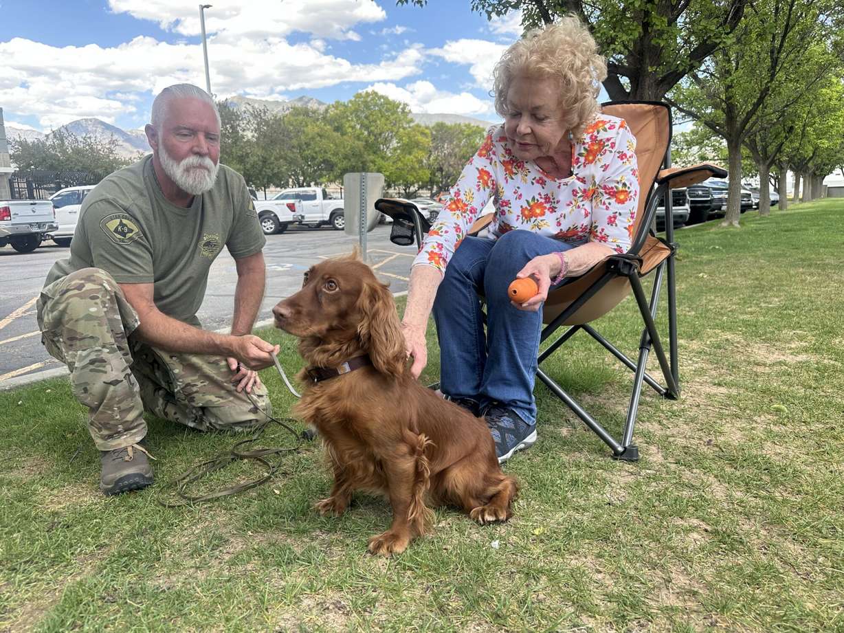 Judy Shafer with Stevie, the Utah County Sheriff's Office's new K-9 cocker spaniel, Wednesday. It marked Shafer's second contribution to the unit.