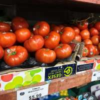 Tomatoes become latest symbol of America's affordability squeeze
