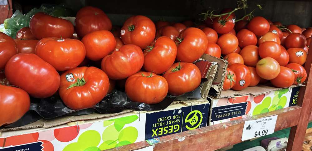 Tomatoes become latest symbol of America's affordability squeeze