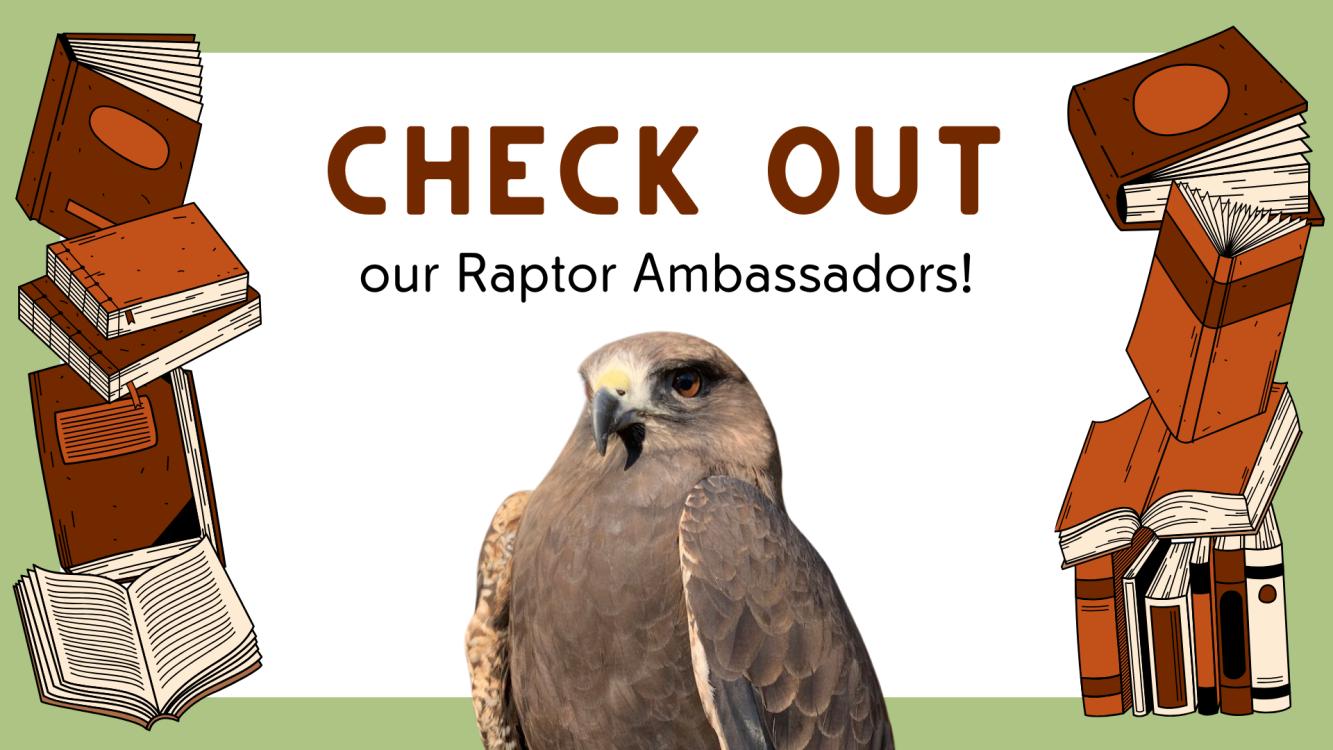Raptors at the South Jordan Library