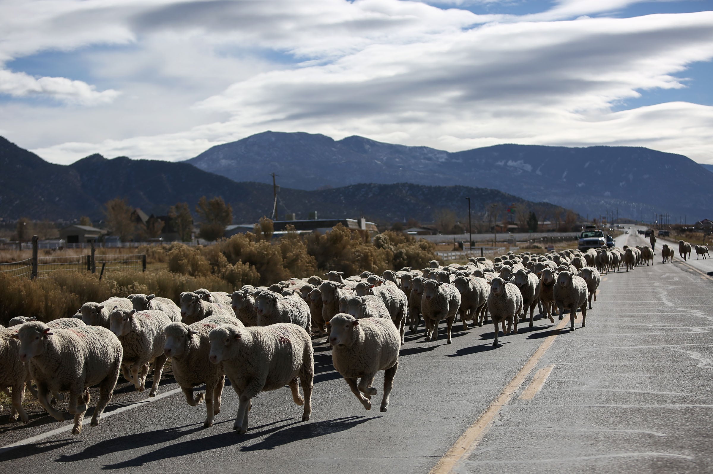 Here are the Intermountain West's most affordable places to live