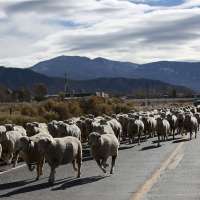 Here are the Intermountain West's most affordable places to live