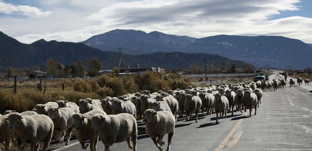 Here are the Intermountain West's most affordable places to live