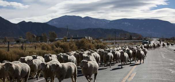 Here are the Intermountain West's most affordable places to live
