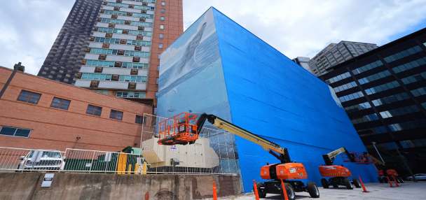 Artist suing FIFA over destruction of Dallas whale mural before World Cup