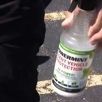Squirrels hungry for three cars' plant-based parts caused $30,000 in damage, man says