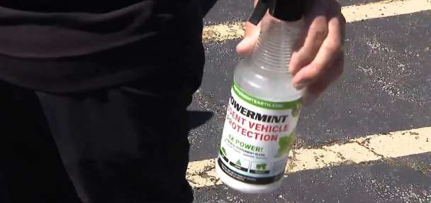 Squirrels hungry for three cars' plant-based parts caused $30,000 in damage, man says