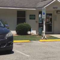 42 dogs improperly euthanized at animal shelter, state says