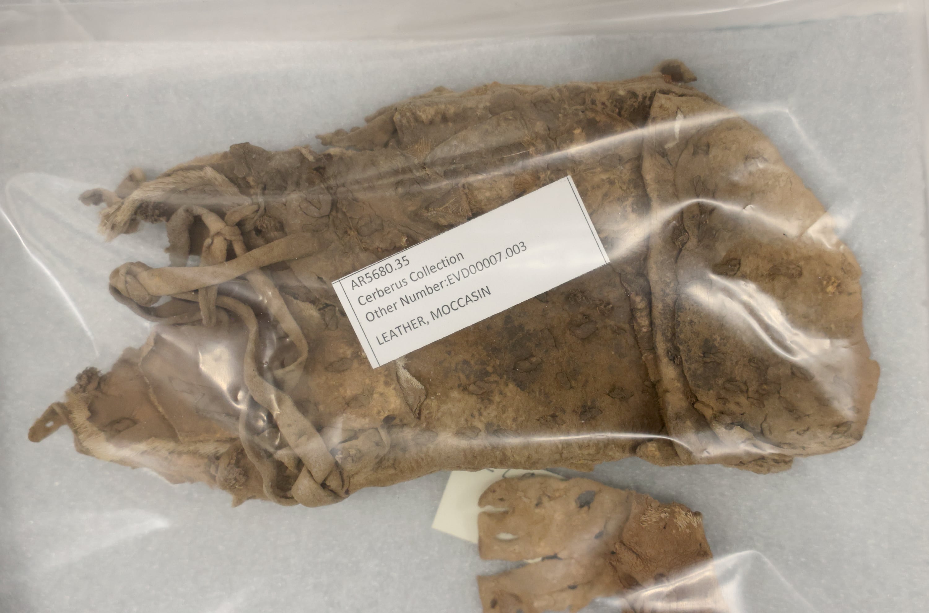 A leather moccasin that is part of the Cerberus Collection is pictured at the Natural History Museum of Utah in Salt Lake City on May 29. More than 100,000 Indigenous items were recovered in a federal undercover operation and the Utah Bureau of Land Management and NHMU are cataloging the artifacts and returning them to tribal nations when possible.