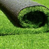 'I feel like we're backtracking': Salt Lake City unsure about artificial turf rule change