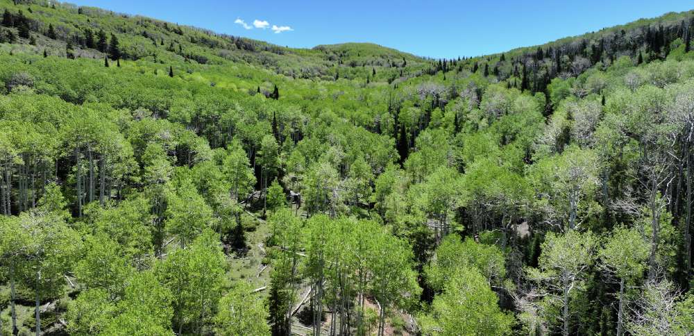 Utah canyon section to be preserved through piece of $80M round of federal funds
