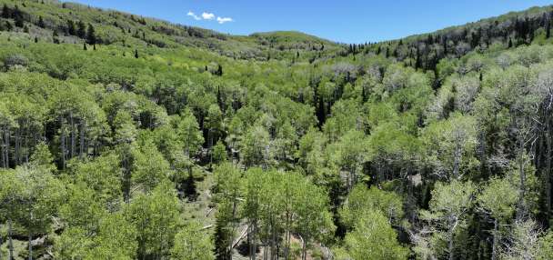 Utah canyon section to be preserved through piece of $80M round of federal funds