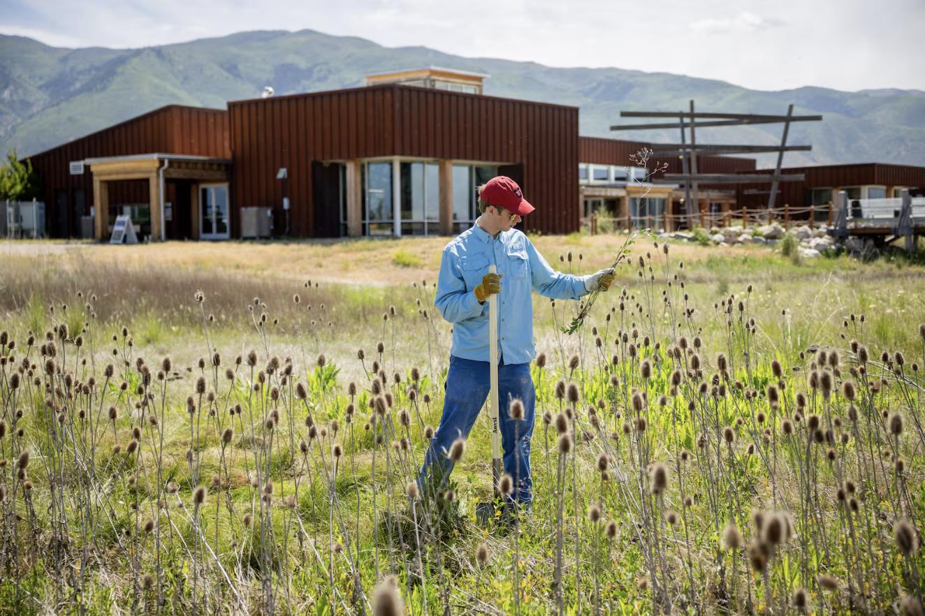 Rep. Celeste Maloy secures initial $10M in Utah's bid for $1 billion in Great Salt Lake funding