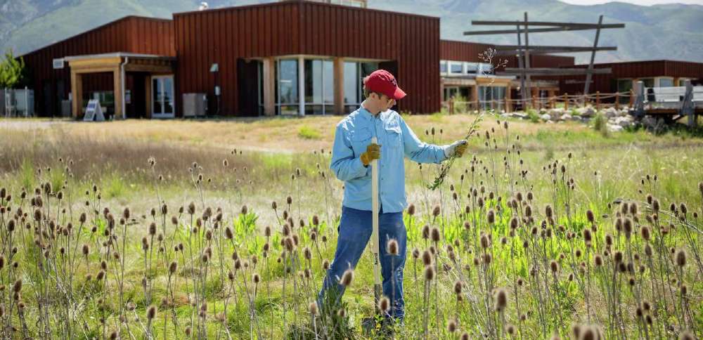 Rep. Celeste Maloy secures initial $10M in Utah's bid for $1 billion in Great Salt Lake funding